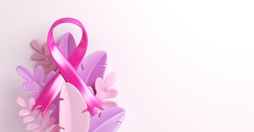 Krūties vėžio ankstyvosios diagnostikos programa